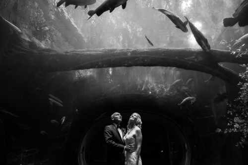 Dobrinweddings juan glen 5570